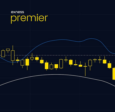 外汇信号：可以信任这些信号来进行货币交易吗？